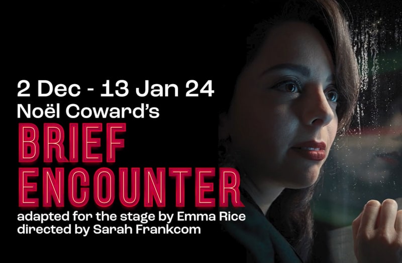 The image is a close-up photograph of a young woman with brown hair and red lips. She looks anxiously or hopefully through a rain-flecked window.